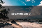 暗网视频暗网禁区