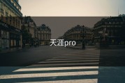 天涯pro
