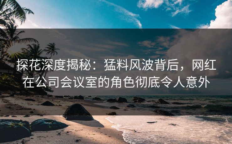探花深度揭秘：猛料风波背后，网红在公司会议室的角色彻底令人意外