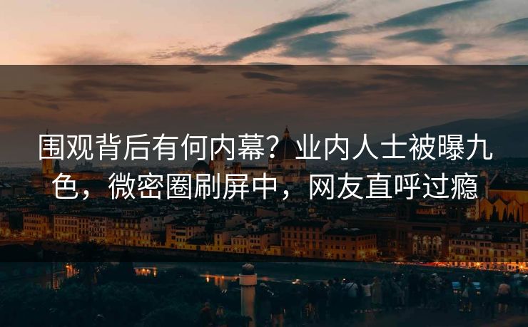 围观背后有何内幕？业内人士被曝九色，微密圈刷屏中，网友直呼过瘾