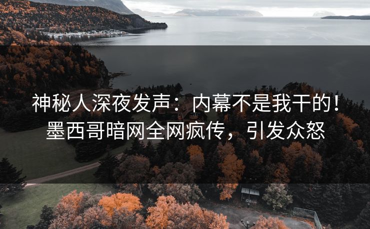 神秘人深夜发声：内幕不是我干的！墨西哥暗网全网疯传，引发众怒