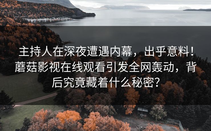 主持人在深夜遭遇内幕，出乎意料！蘑菇影视在线观看引发全网轰动，背后究竟藏着什么秘密？