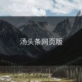 汤头条网页版