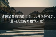 速报鉴黄师深度揭秘：八卦风波背后，业内人士的角色令人意外