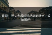 刚刚！汤头条看料现场画面曝光，尴尬围观！