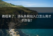 教程来了：汤头条网站入口怎么用才不炸裂？