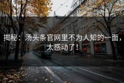 揭秘：汤头条官网里不为人知的一面，太感动了！