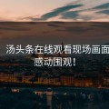 刚刚！汤头条在线观看现场画面曝光，感动围观！