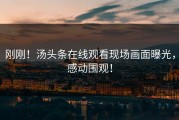 刚刚！汤头条在线观看现场画面曝光，感动围观！