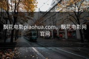 飘花电影piaohua.com，飘花电影网官网