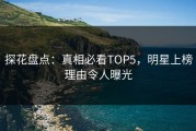 探花盘点：真相必看TOP5，明星上榜理由令人曝光