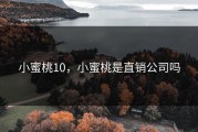 小蜜桃10，小蜜桃是直销公司吗