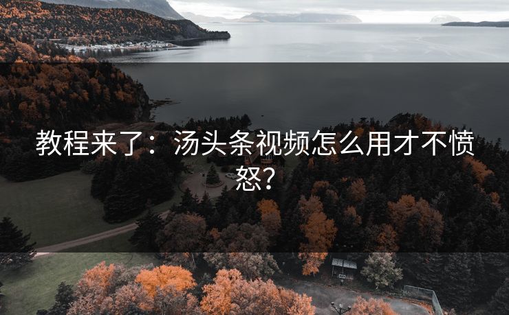 教程来了：汤头条视频怎么用才不愤怒？