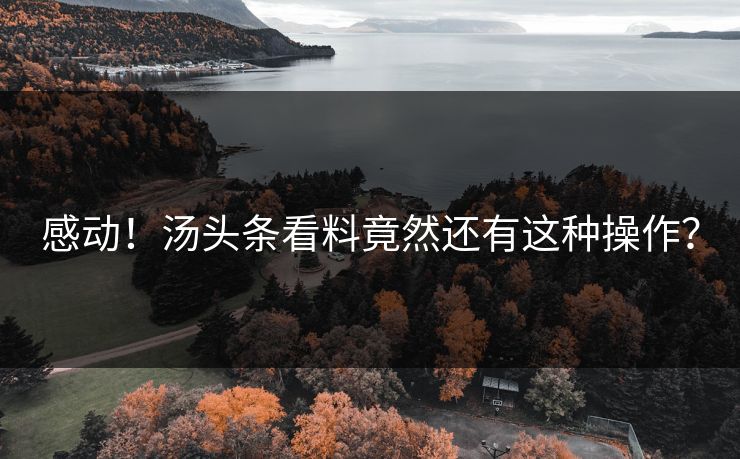感动！汤头条看料竟然还有这种操作？