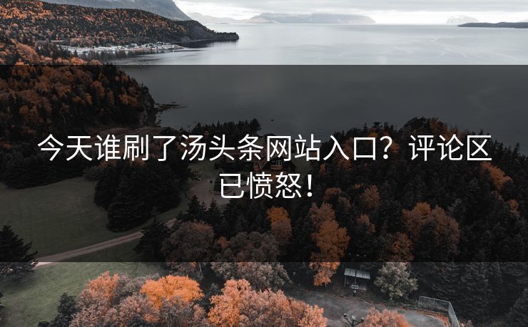 今天谁刷了汤头条网站入口？评论区已愤怒！