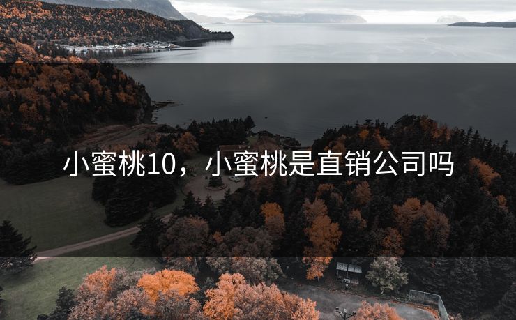 小蜜桃10，小蜜桃是直销公司吗